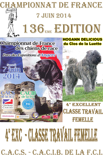 HOGANN du Clos de la Luette 4eme EXCELLENT en CLASSE TRAVAIL CHAMPIONNAT DE FRANCE 2014